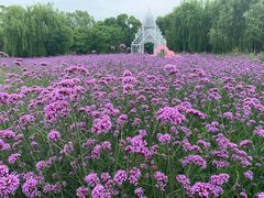 -梁鸿国家湿地公园