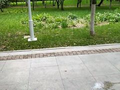 -南翠屏公园