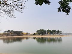 -松山湖南湖湾露营营地