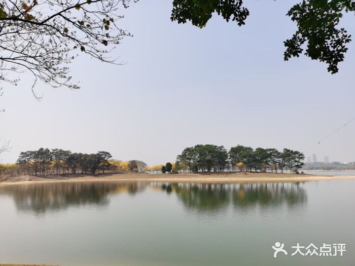 松山湖南湖湾露营营地图片