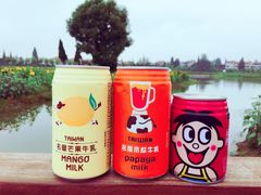-金卉庄园