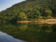 -桃花岭景区