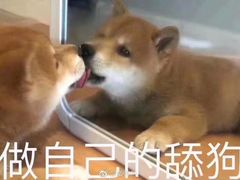-西班牙语王国