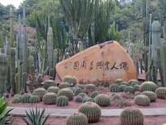 -深圳仙湖植物园