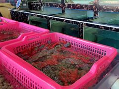 -众味海鲜大排档·活海鲜·潮汕味(南澳店)