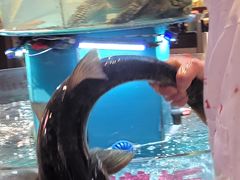 -魏铭鱼头捞饭(晋阳路店)