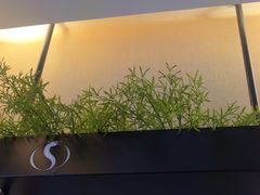 -华夏良子·足道SPA艾灸(王府井店)