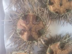 -宾朋海鲜饭庄(兴海路店)