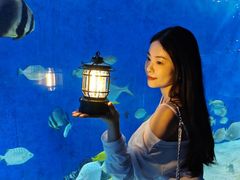 -合肥海洋世界