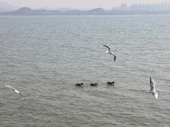 -深圳湾公园(南山区)