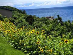 -南紀白浜 浜千鳥の湯 海舟