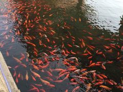 -威海华夏城景区