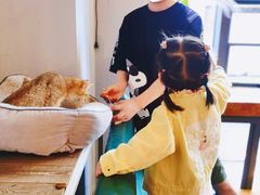 -吉丁鸟咖·异宠·寄养