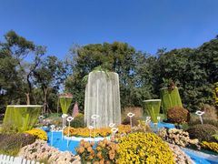 -上海共青森林公园