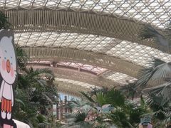 -杭州开元森泊度假乐园