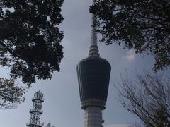 -梧桐山风景名胜区