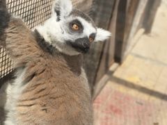 -石家庄市动物园