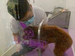 -宠爱国际动物医院(德胜门店)