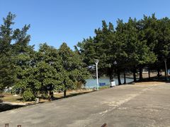 -风云岭森林公园