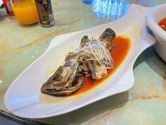 老虎斑-海景壹号大酒店(滨湖店)