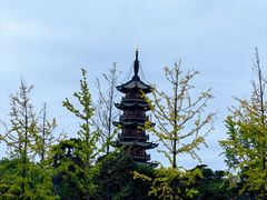 -龙华素斋(龙华路店)