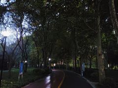 -达活泉公园