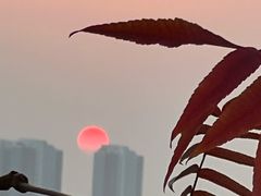 -南翠屏公园