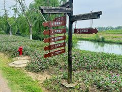 -乌村