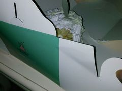 -天力卡拉优动物奶油生日蛋糕(鼓楼店)