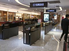 -知音艺术教育培训·钢琴培训·音乐培训(河西金鹰世界校区)