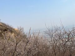 -北京凤凰岭