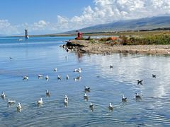 -青海湖国家重点风景名胜区
