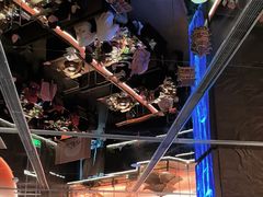 -西塔老太太泥炉烤肉(上海七宝领展广场店)