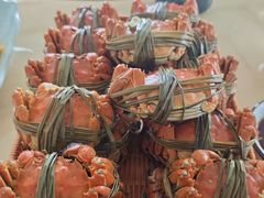 -乡乐园蟹庄·阳澄湖农家乐