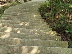 -深圳仙湖植物园-停车场