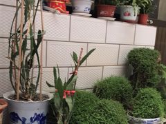 -秀水家园农家院住宿团建(石林峡店)