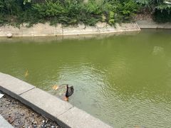 -芭东小镇温泉