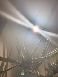 -香秀空间科技抗衰·美容中心