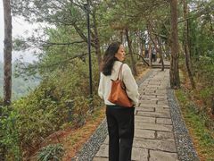 -千岛湖天屿景区