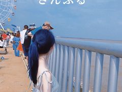 -奉贤海滩
