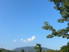 -美人鱼悬崖海景餐厅(鹿嘴山庄店)