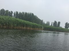 -白洋淀景区