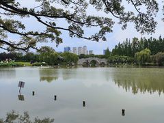 -江心屿景区