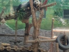 -黔灵山公园