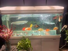 -梵SPA·影院足道·采耳(西藏北路店)
