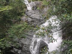 -东天目山风景区