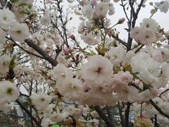-观澜湖生态运动公社