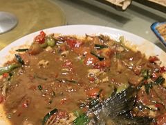 啤酒弄水鱼-生态苑农庄(十里画廊遇龙河店)