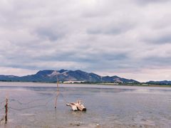 -玉龙沙湖景区