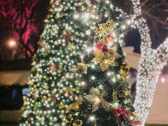 景观位-福楼法餐厅FLO